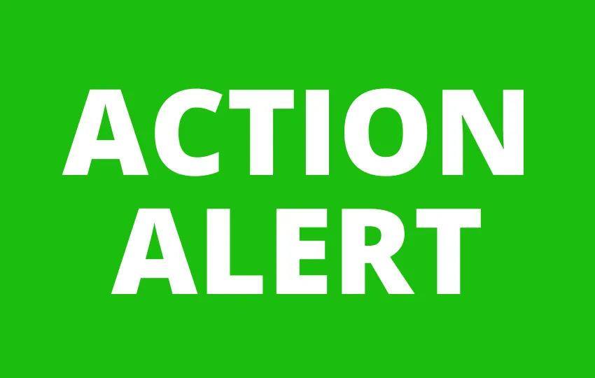 ACTION ALERT.png